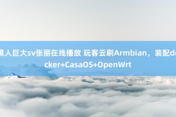 黑人巨大sv张丽在线播放 玩客云刷Armbian，装配docker+CasaOS+OpenWrt